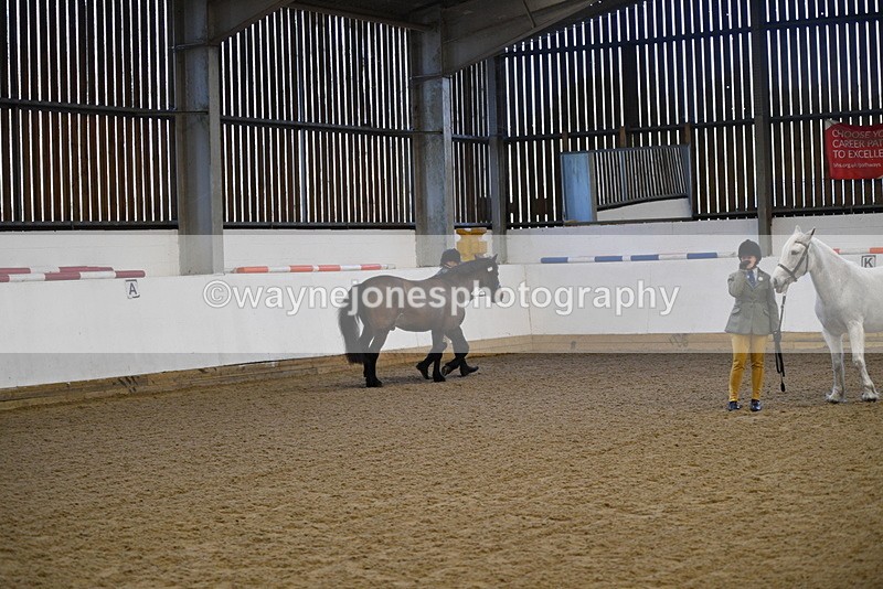 WJ5_3571 - Class 5 In Hand Veterans