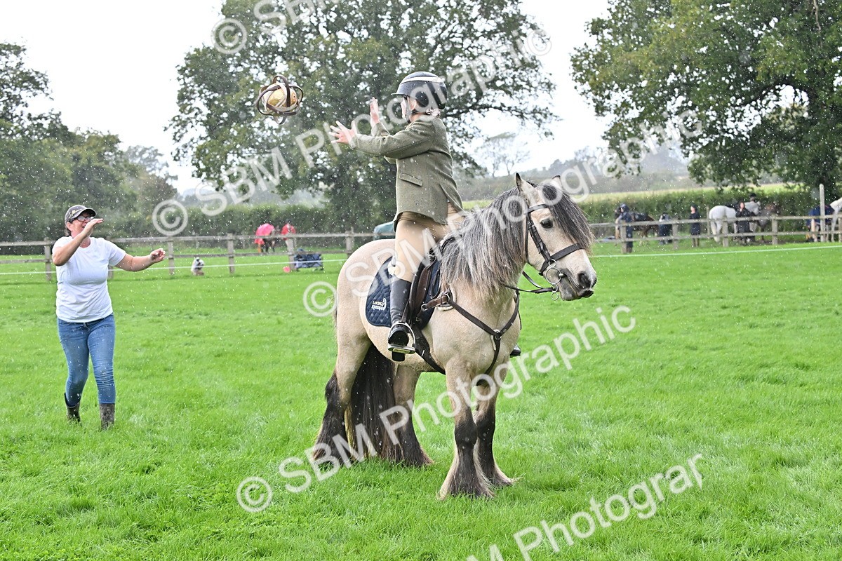 SBM_43014 - S12 - Family Horse & Pony