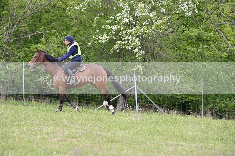 WJ6_1941 - Group 8 A&B Cameras