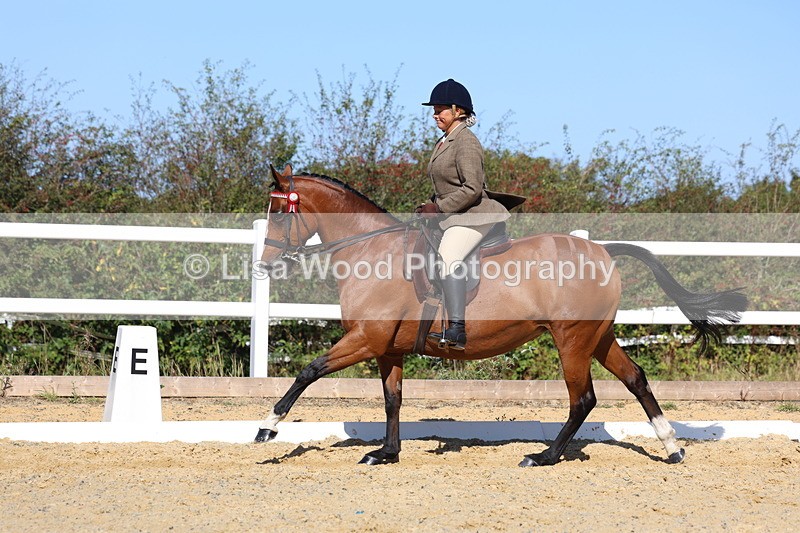 3E7A5741 - Class 10: Riding Horse