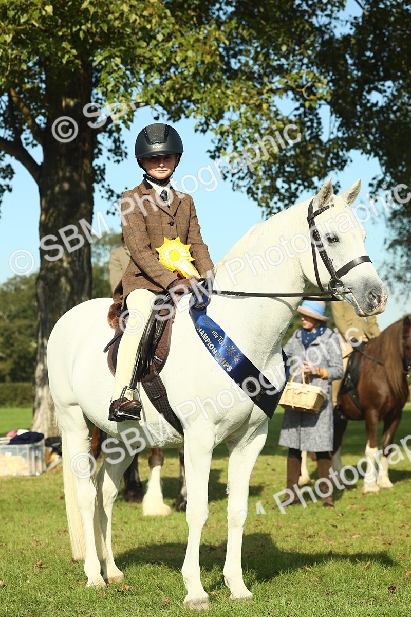 SBM_60031 - S38 - Starters Ridden Showing