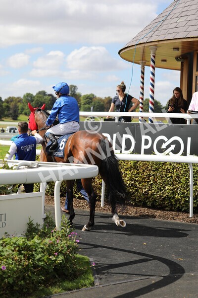 yr17082022r2-14 - Race 2 2.25pm Tattersalls Acomb Stakes