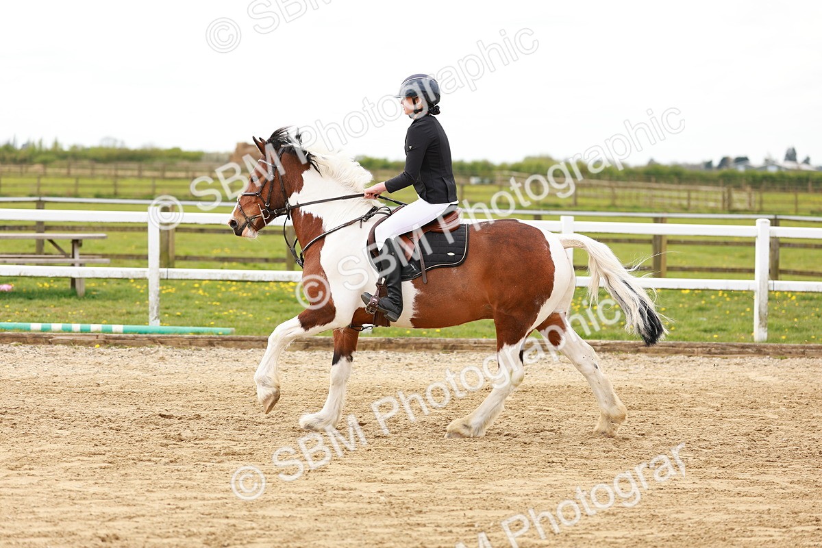 SBM_004060 - Class 3 - 60cm