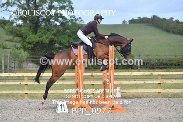 BPP_0977 - Senior British Novice/ 90cm Open