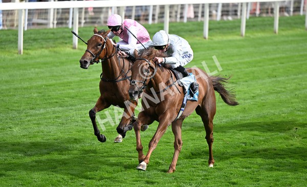 210825-177 Charlottes Web - Race 5 4.10pm British EBF & Sir Henry Cecil Galtres Stakes