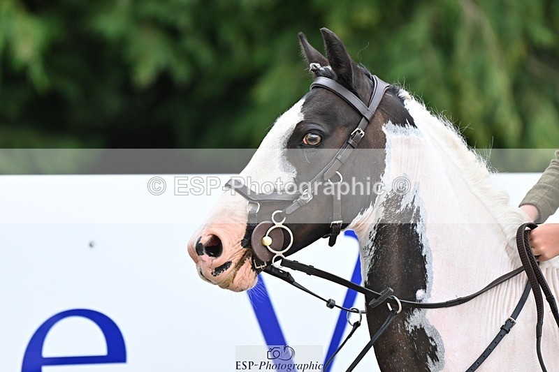 230825-120541-10021 - Round 2 11.30 to End