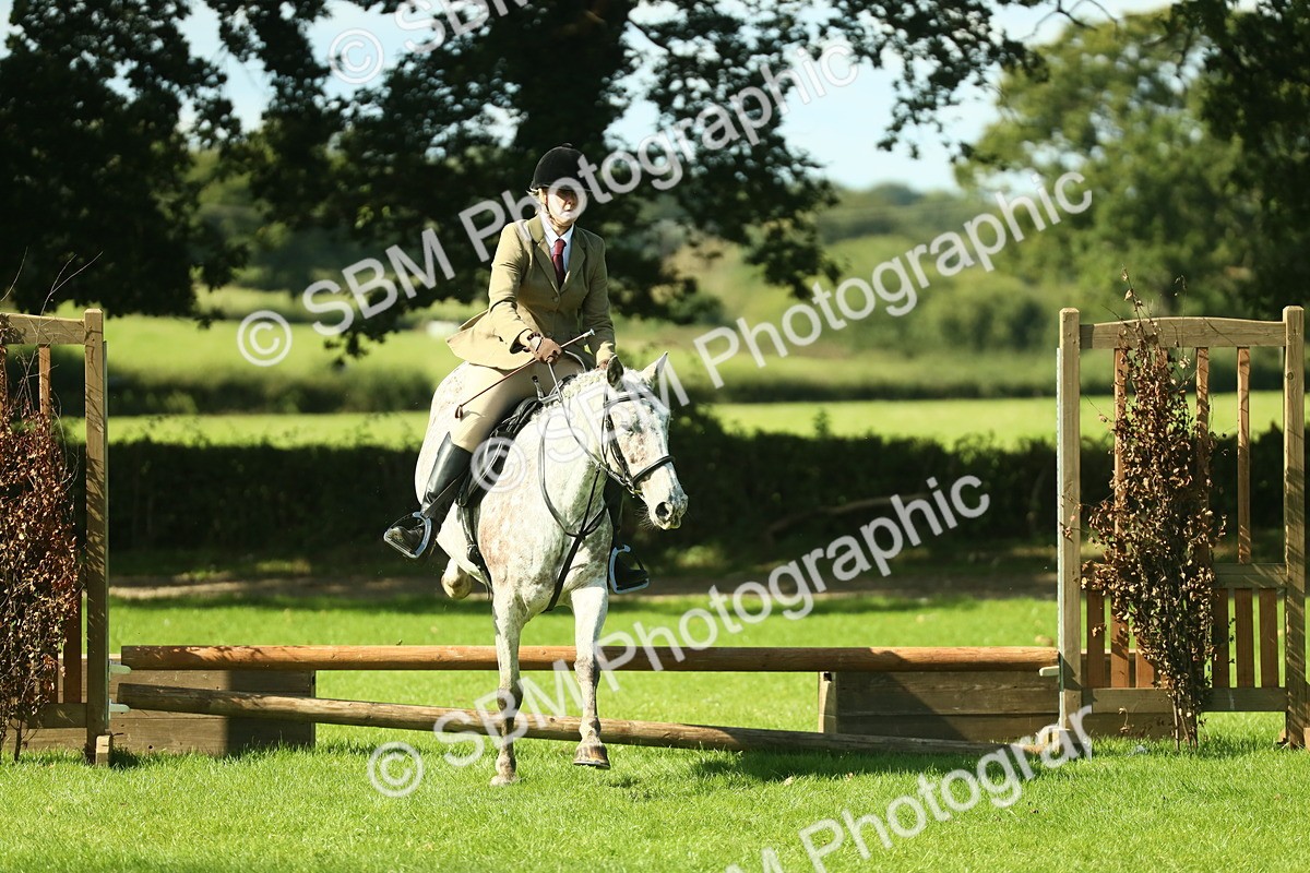 SBM_39252 - S29 - Novice & Newcomers Working Hunter Pony