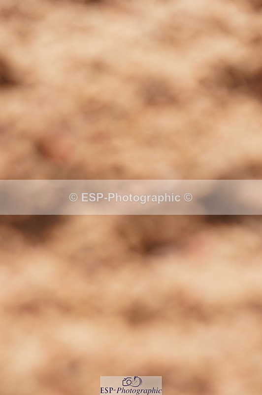 240628A-174256-00591 - Cls 2 Intro 90cm