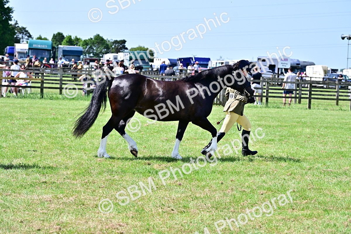 SBM_03904 - Class 58 - TSR  Ridden Veteran Amateur of the year