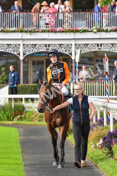 230923-Race 4-Aphelios-6526 - Race 4 3.45pm Jigsaw Sports Branding Handicap