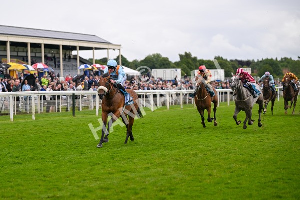 150624-Race 5-The Strikin Viking-7652 - Race 5 4.10pm Reg Griffin Appreciation ebfstallions.com Maiden Stakes