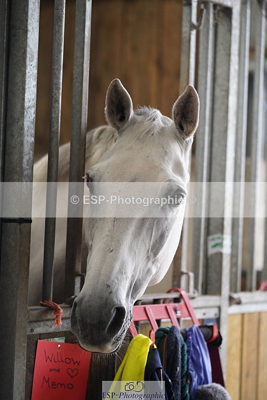 240809A-134702-01022 - Stable Shots