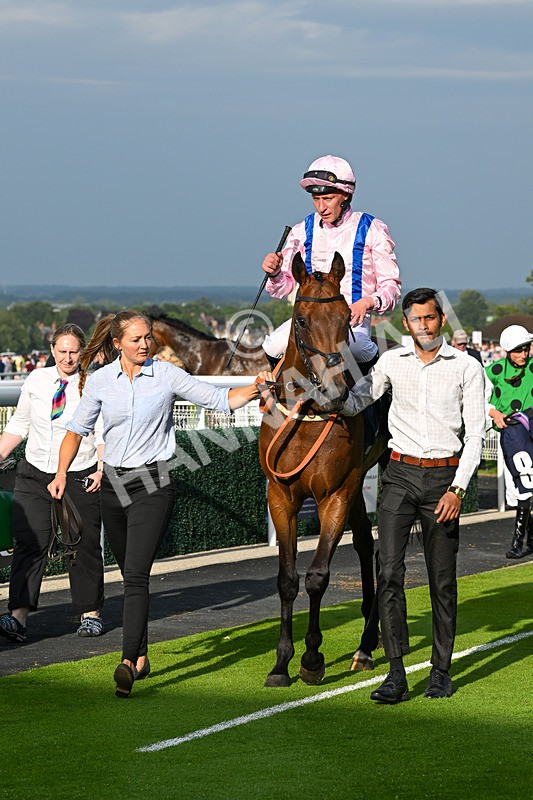 170625-Race 2-Gloriously Sassy-6106 - Race 2