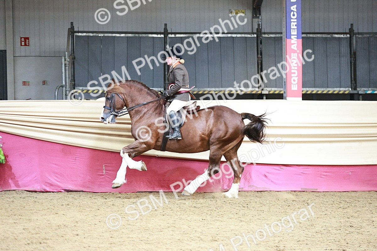 SBM_08666 - Regional Ridden Champ