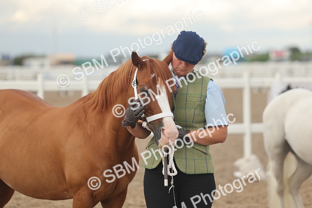 SBM_08545 - Class 29 - IH Veteran Pony