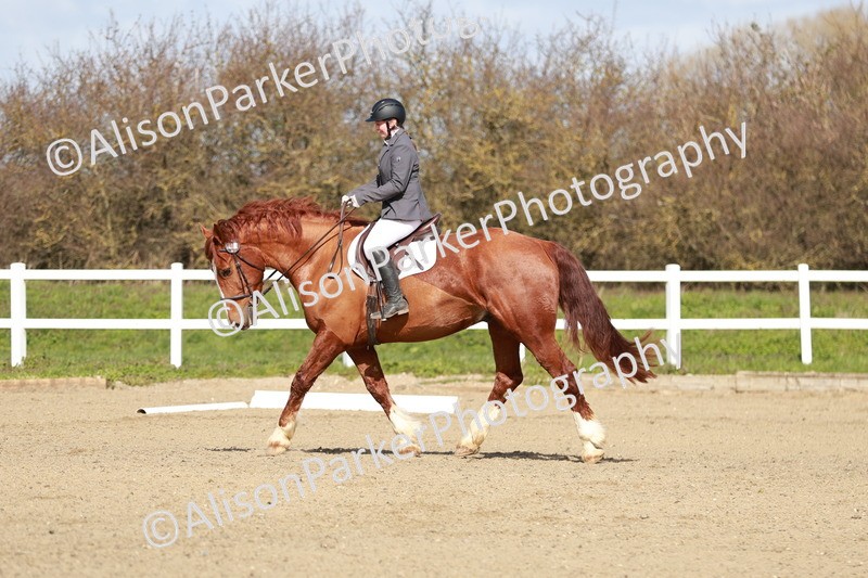 20260314-2832 - DR3 - Prelim 1