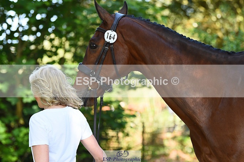 230524-163908-01004 - 164-TREBOR-Kelly_Mccarthy-maine-WEDTrotUp+DR