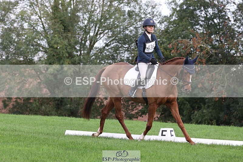 231019-160540-05134 - 436-MASSACHUSETTS-Georgia.Henderson-DR