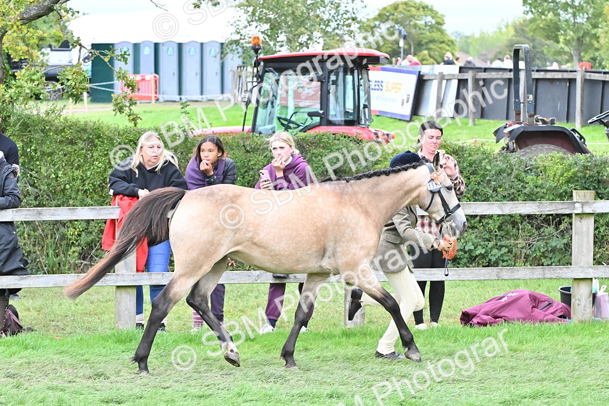 SBM_68522 - S42 - Junior Handler 9-12 Years