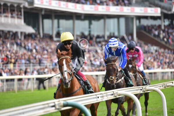 yr20082021r2-49 - Race 2 2.25pm Weatherbys Hamilton Lonsdale Cup (British Champion Series race)