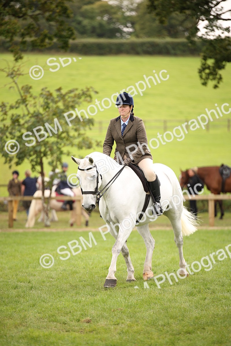 SBM_72384 - S67 - Show Cob Ridden