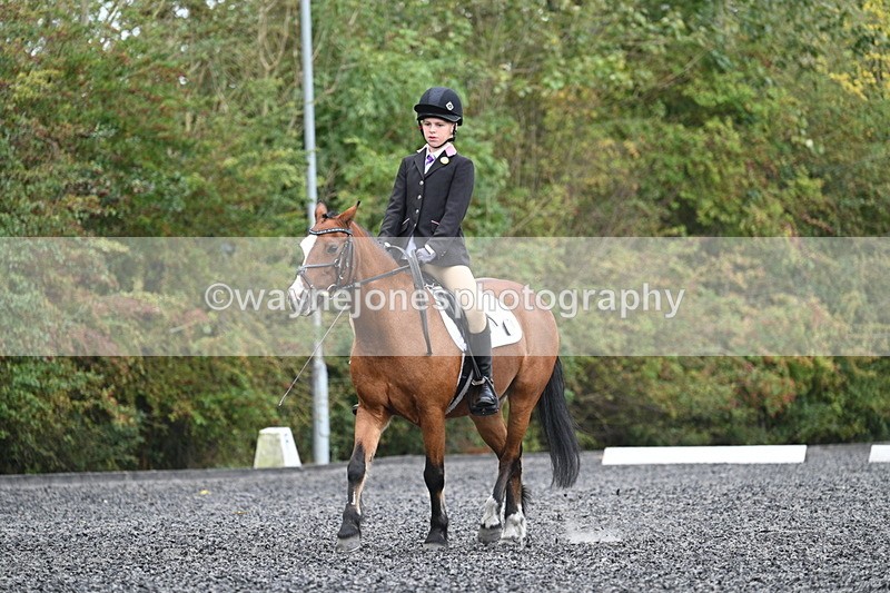 WJ7_4035 - Time 11:04 to 11:38