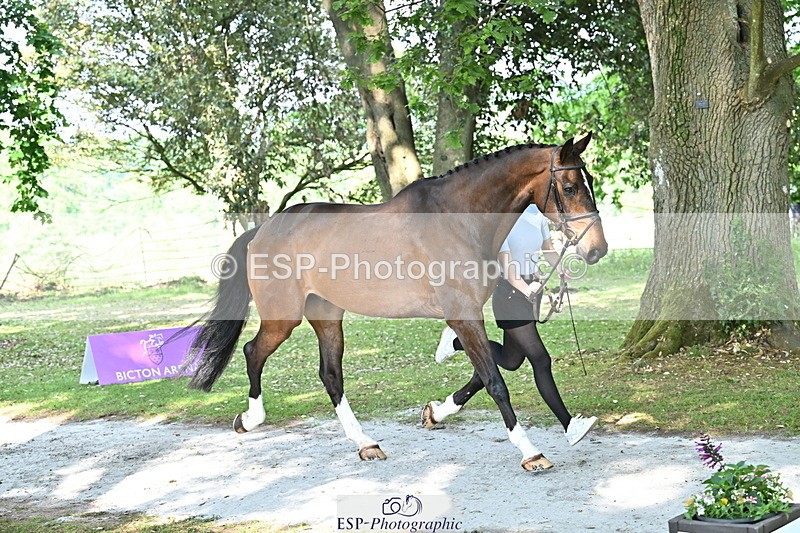 250521A-163901-01256 - C-262-Cosby.Green-LIBERO.D