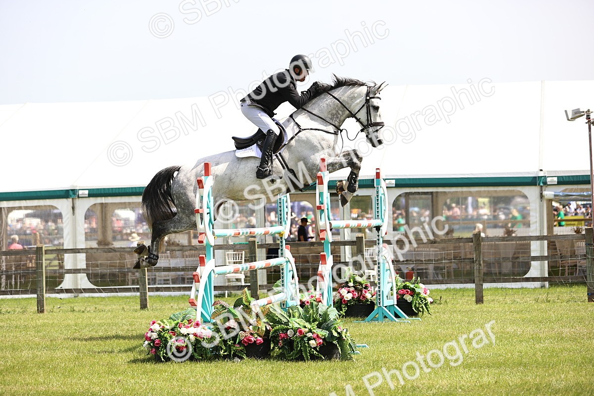 SBM_03283 - Class 201 - British Horse Feedds Speedi Beet HOYS Grade C