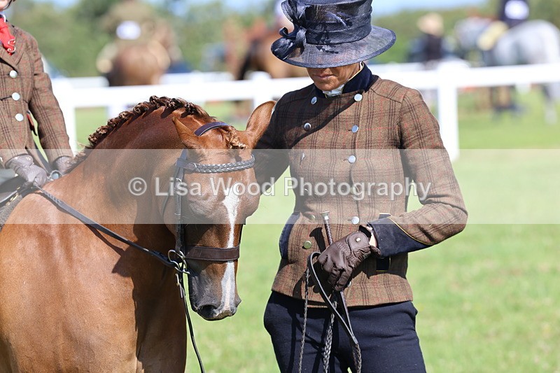 IMG_1753 - Class 31: Lead Rein SP/SHP