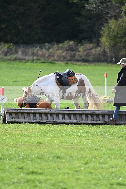 WJ7_3978 - 40cm Time 10:26 to 10:42