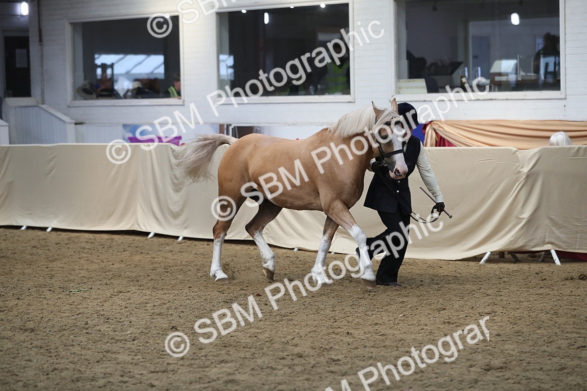 SBM_15347 - Class 501 M&M IH Supreme Final