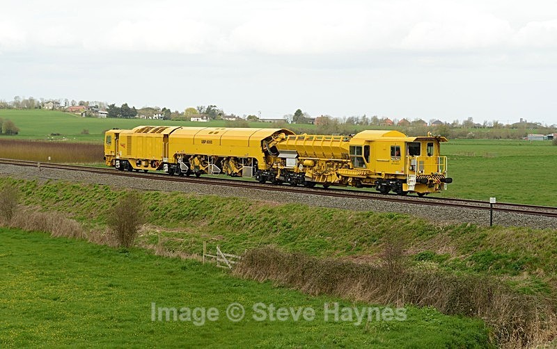 23rd March 2019 - Curry Rivel (Oathe, Wick), Somerset