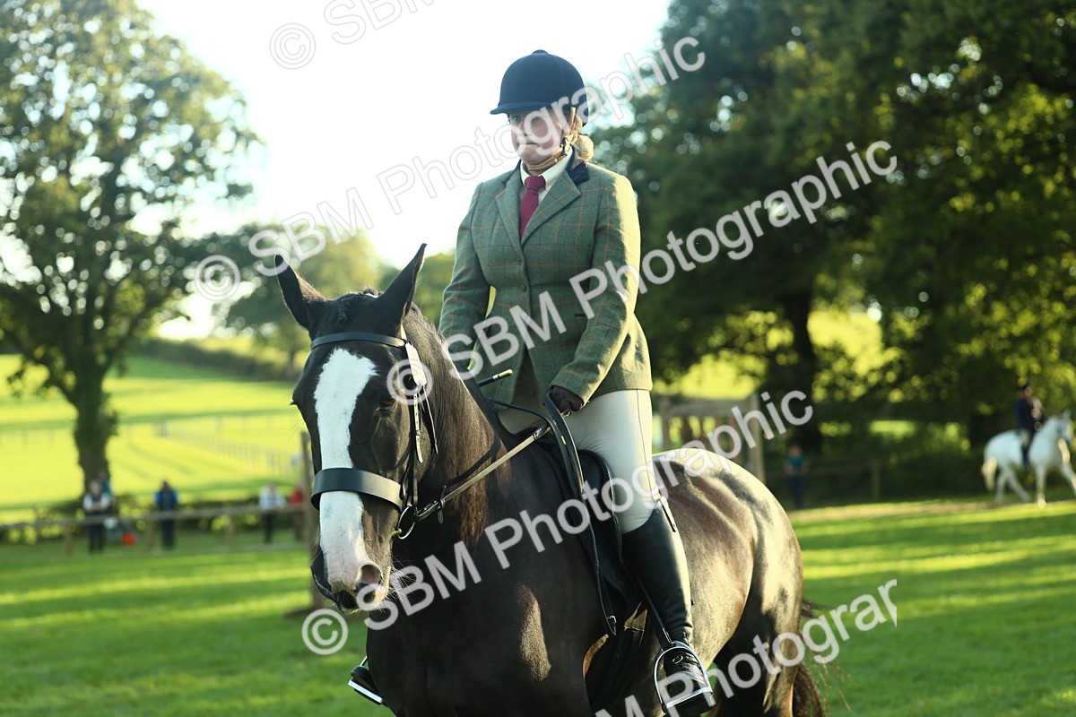 SBM_55526 - S14 - Riding Club Horse