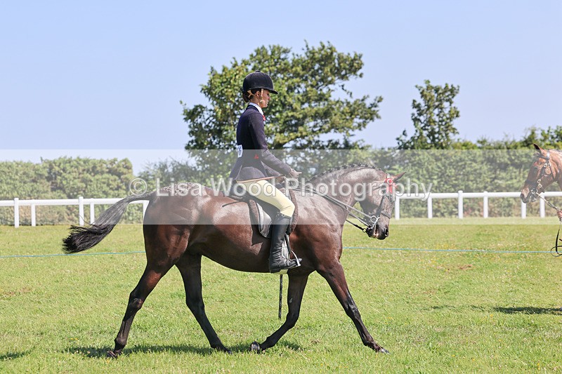 IMG_2122 - Plaited Ridden Championship