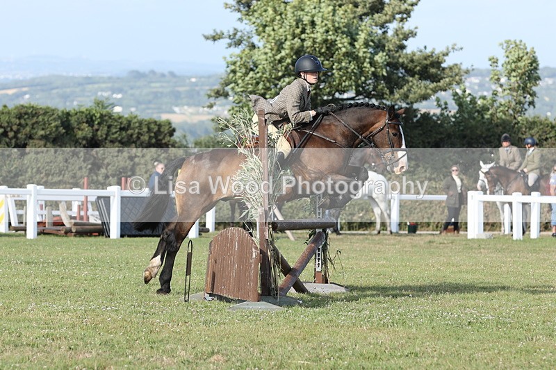 JPP_3220 - Class 21: Working Hunter 80cm