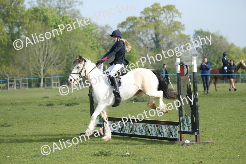 20260426-0056 - Class 13 - Rookie Jumping 50cm
