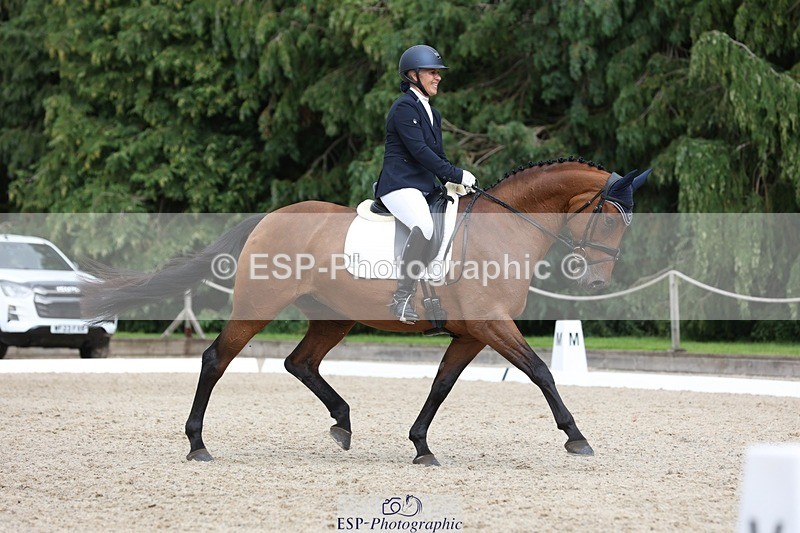 230812-150209-05030 - Cls 5 Novice Bronze 15.00 to End