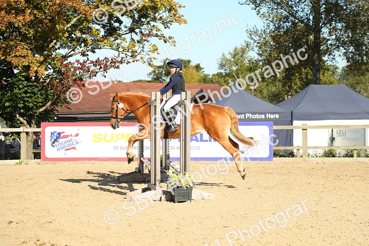 SBM_36008 - J5 - Junior Pony 50cm Championship