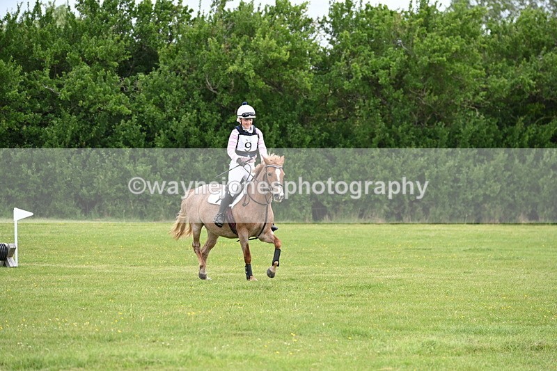 WJ6_2454 - Class 2 40cm