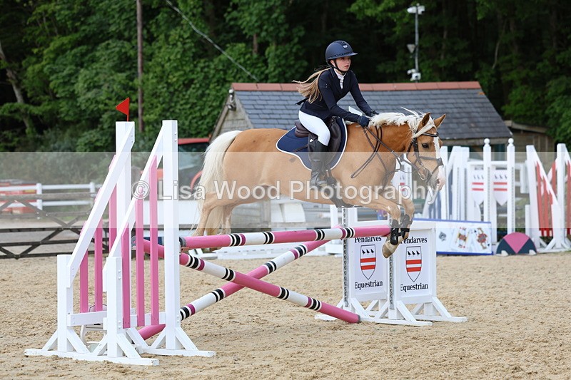 3E7A8516 - Class 14: Pony Newcomers/1m open