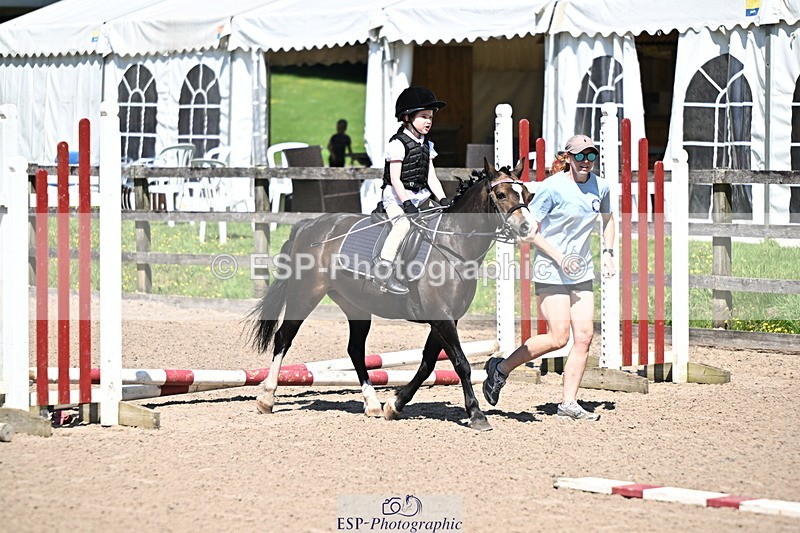 240729B-114032-02481 - Showjumping Competition