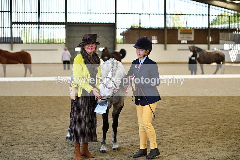 WJ5_4094 - Class 2 Best Condition In hand