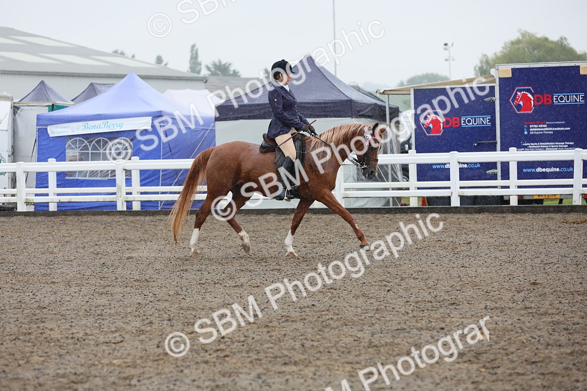 SBM_20369 - Class 803 - Ridden Combination 65+
