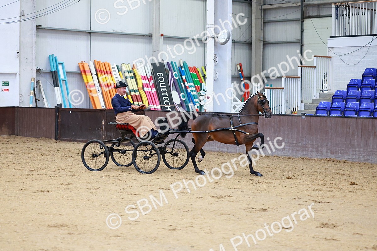 SBM_000623 - Class 9 - HHS Championship Intl Hackney Pony to a Showwagon
