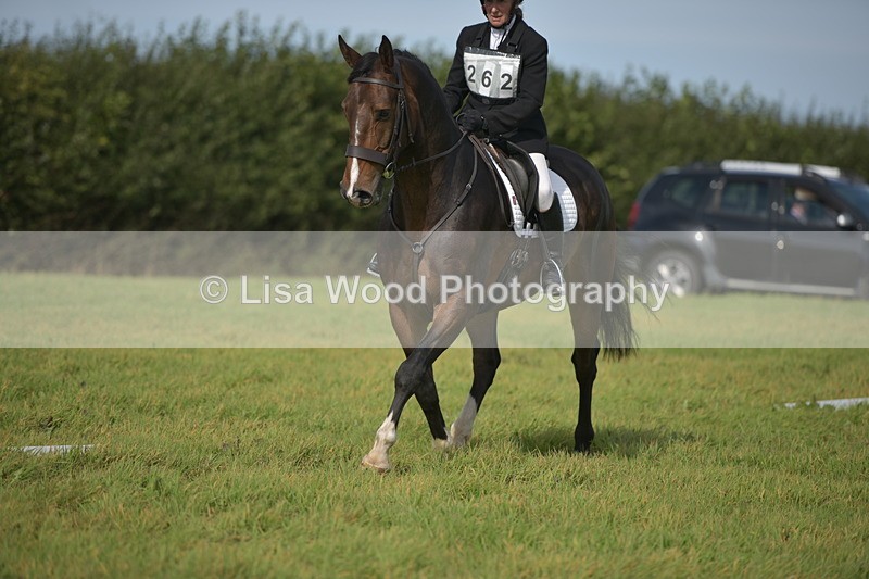 RAY_7933 - Class 2B: Trekenning Open: Dressage