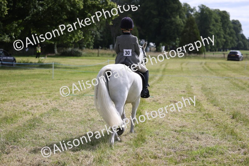 20260614-0550 - Class 20 - Beginners Working Hunter Pony