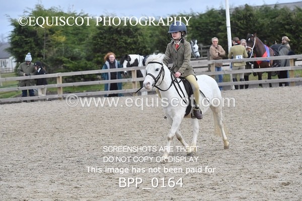 BPP_0164 - RING 2 - M&M