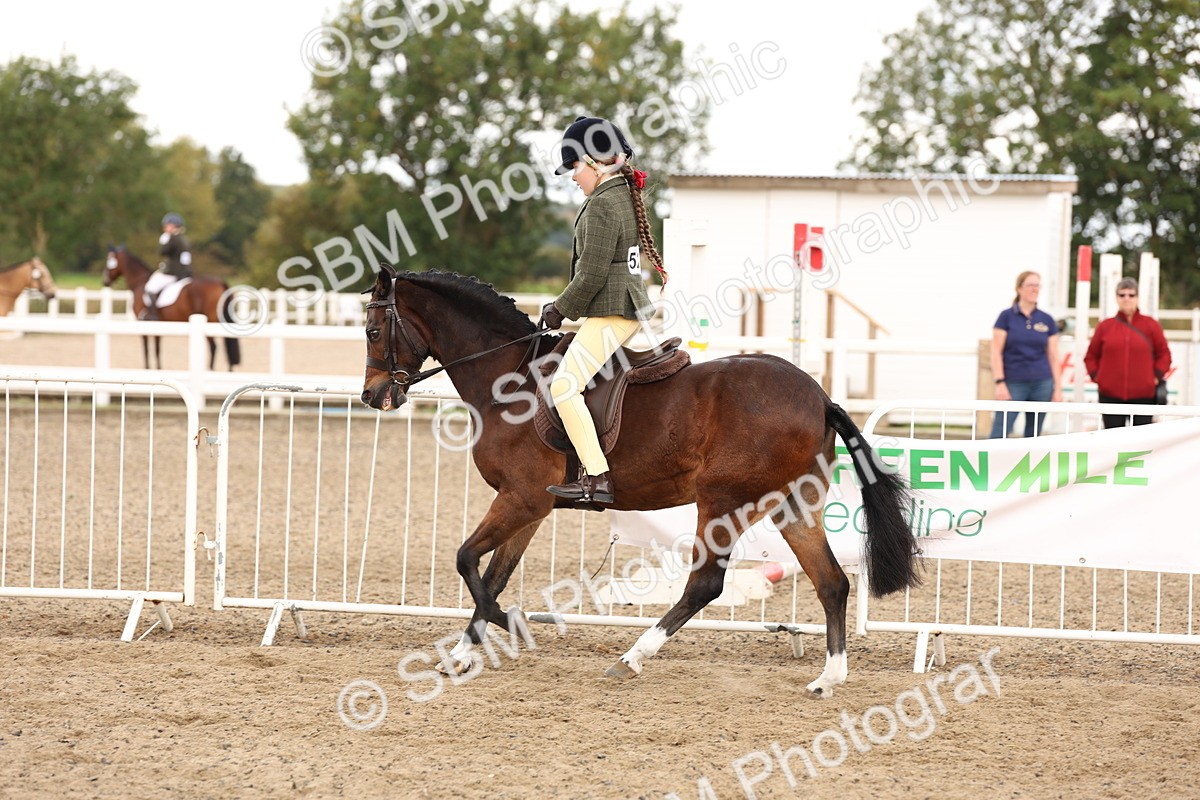 SBM_02901 - Class 53 - Ridden Competition Horse/Pony