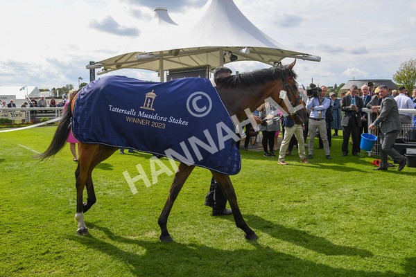170523-Race 4-Soul Sister-0442 - Race 4 3.35pm Tattersalls Musidora Stakes