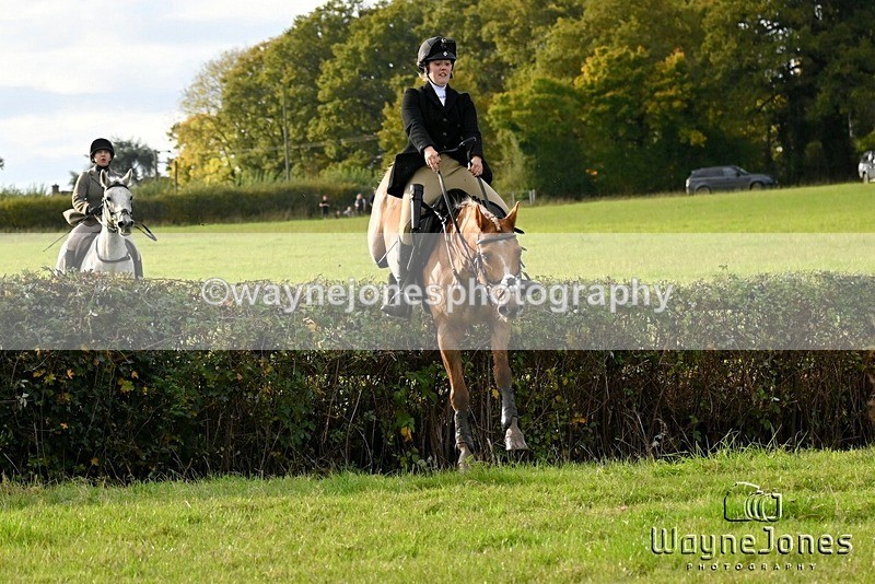 WJ6_5636 - Edited examples